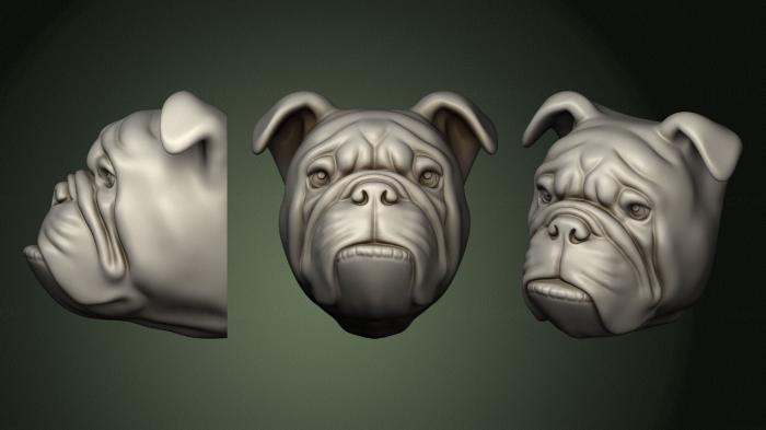 Masks and muzzles of animals (MSKJ_0404) 3D model for CNC machine